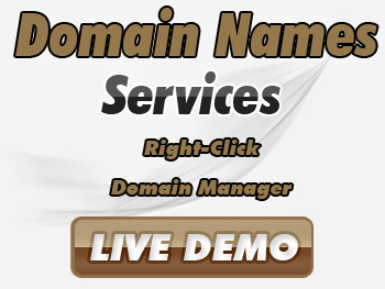 Budget domain registration service providers